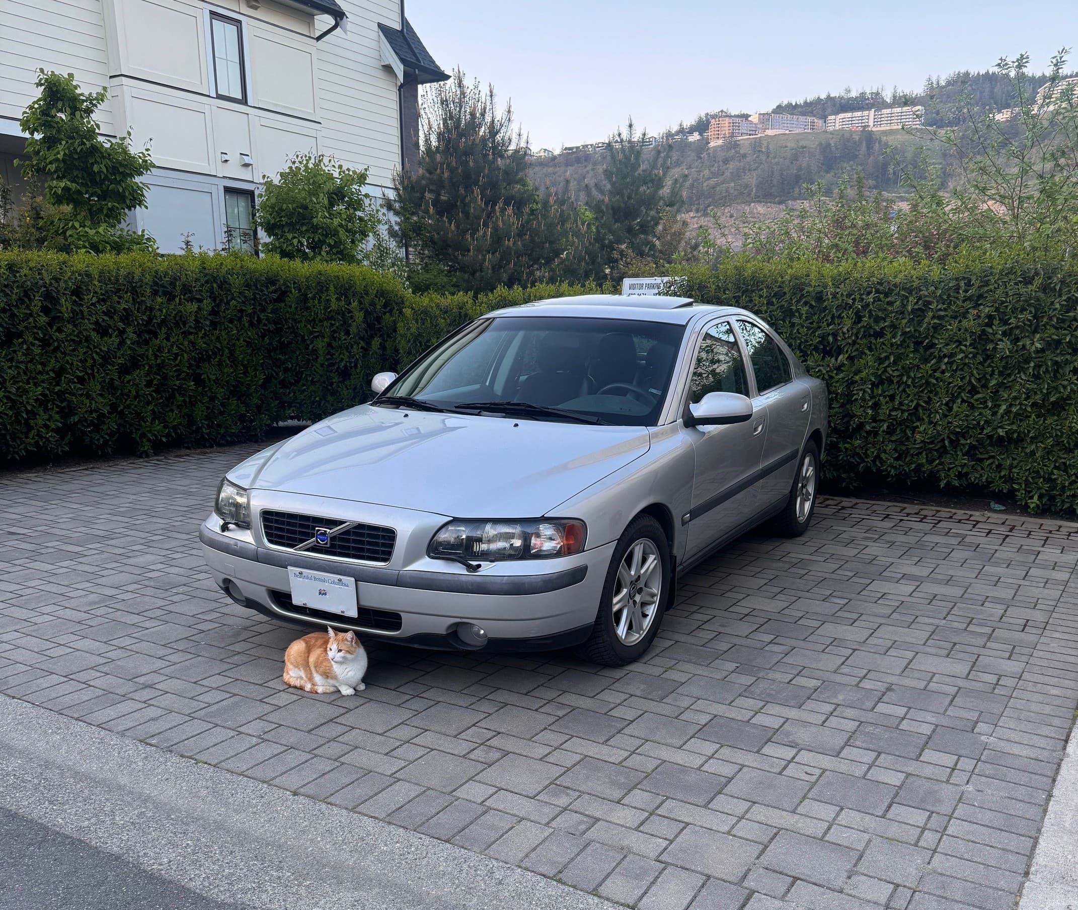 Volvo S60 Restoration